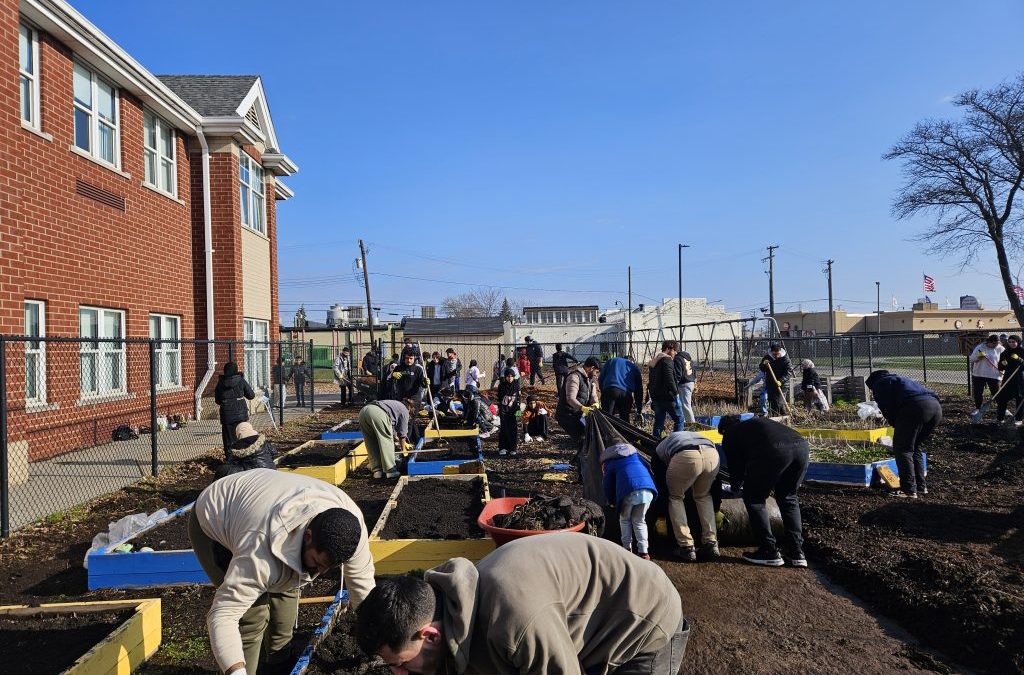 University of Michigan- Dearborn Student Volunteers Helping in our Garden